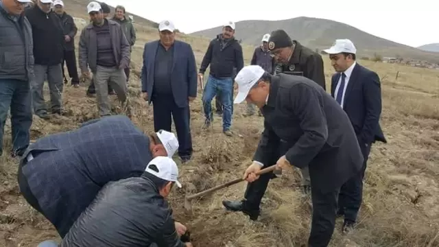 İkipınar'da 68 Bin Fidan Toprakla Buluştu