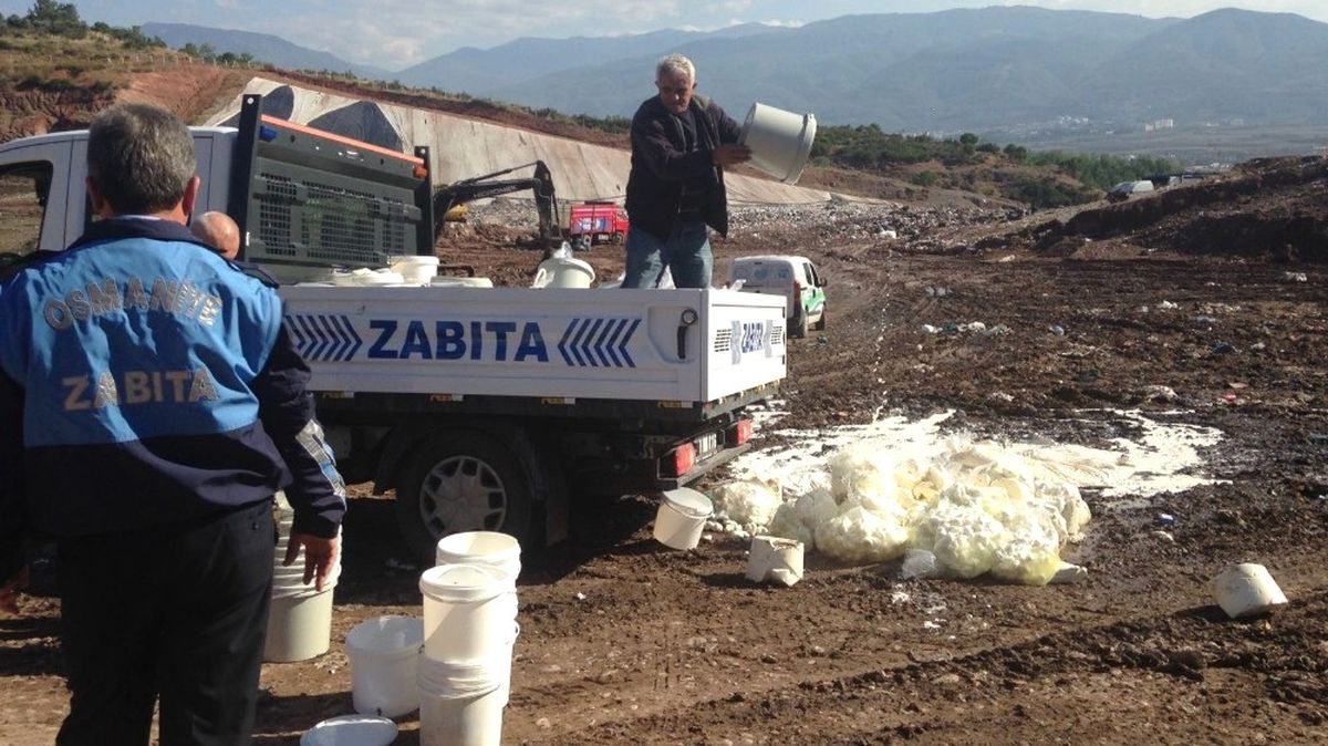 Kaçak Üretilen Bin 450 Kilogram Peynir İmha Edildi