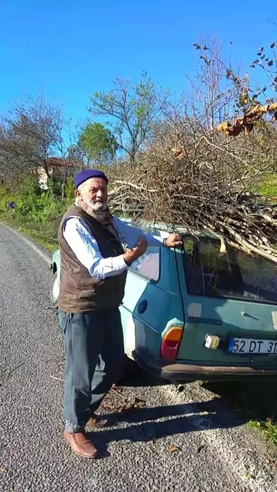 Ordu'da Erkek Cesedi Bulundu