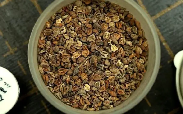 İlk Müslümanların Yemek Alışkanlıkları Aydınlanacak! İsrail'de Bin Yıllık Yemek Fosilleri Bulundu