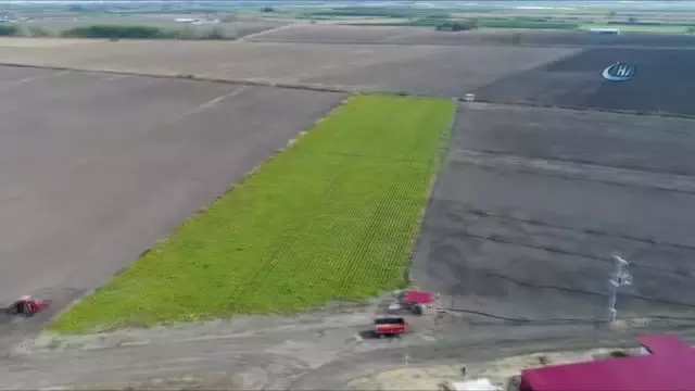 Mahkumlar, Organik Tarım Yaparak Cezalarını Çekiyorlar