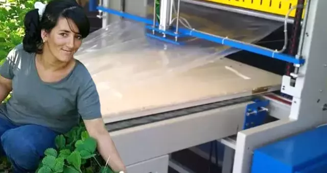 Mısır Paketleme Makinesine Kollarını Kaptıran Genç Kadın, Hayatını Kaybetti