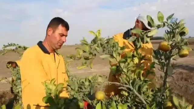 Cezalarını Organik Tarım Yaparak Çekiyorlar