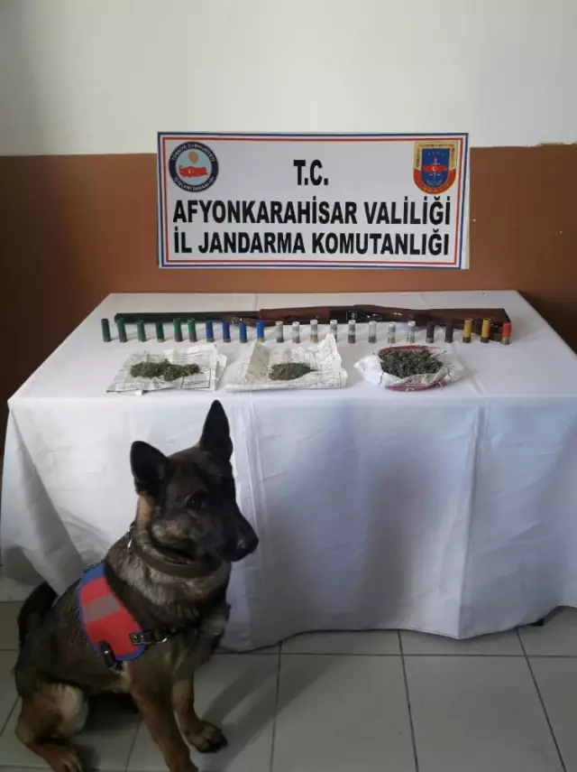 Sinanpaşa'da Esrar Operasyonu