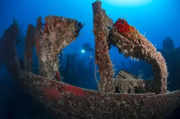 Kemer'in Su Altı Güzellikleri Kemer'in Su Altı Güzellikleri