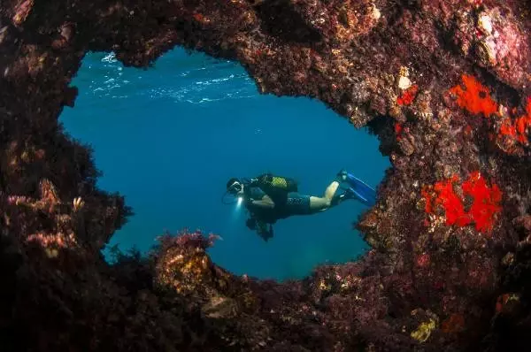 Kemer'in Su Altı Güzellikleri Kemer'in Su Altı Güzellikleri