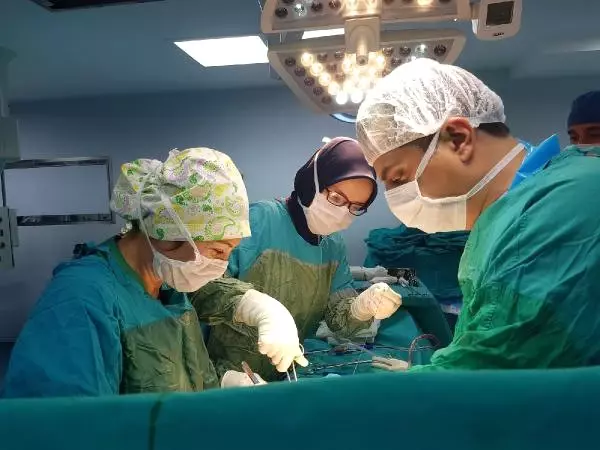 Böbrek Beklerken, Karaciğeriyle Can Oldu