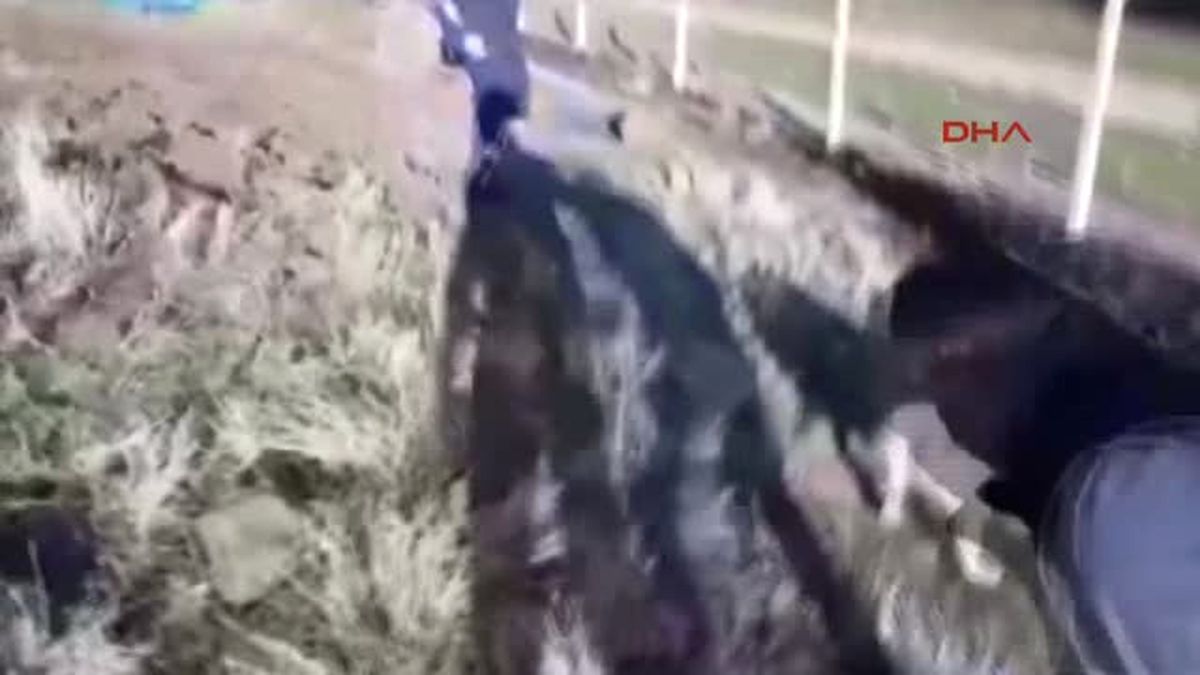 Aksaray Toprağa Gömülü 4 Bin 665 Uyuşturucu Hap Bulundu