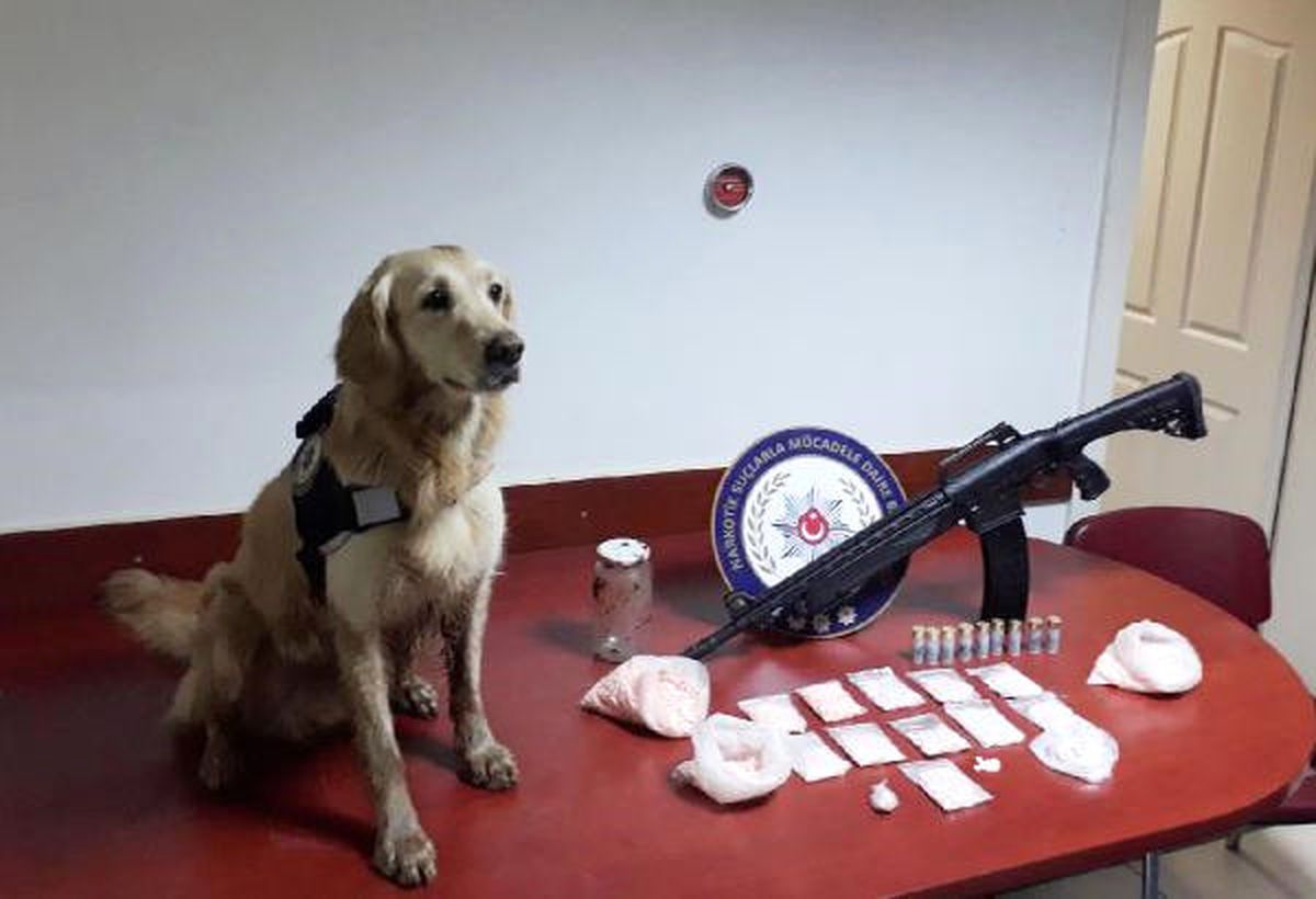 Toprağa Gömülü 4 Bin 665 Uyuşturucu Hap Bulundu