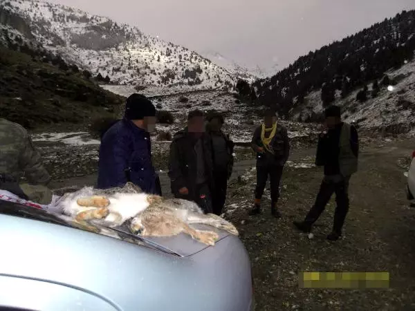 Usulsüz Tavşan Avcılarına 5 Bin Lira Ceza Usulsüz Tavşan Avcılarına 5 Bin Lira Ceza