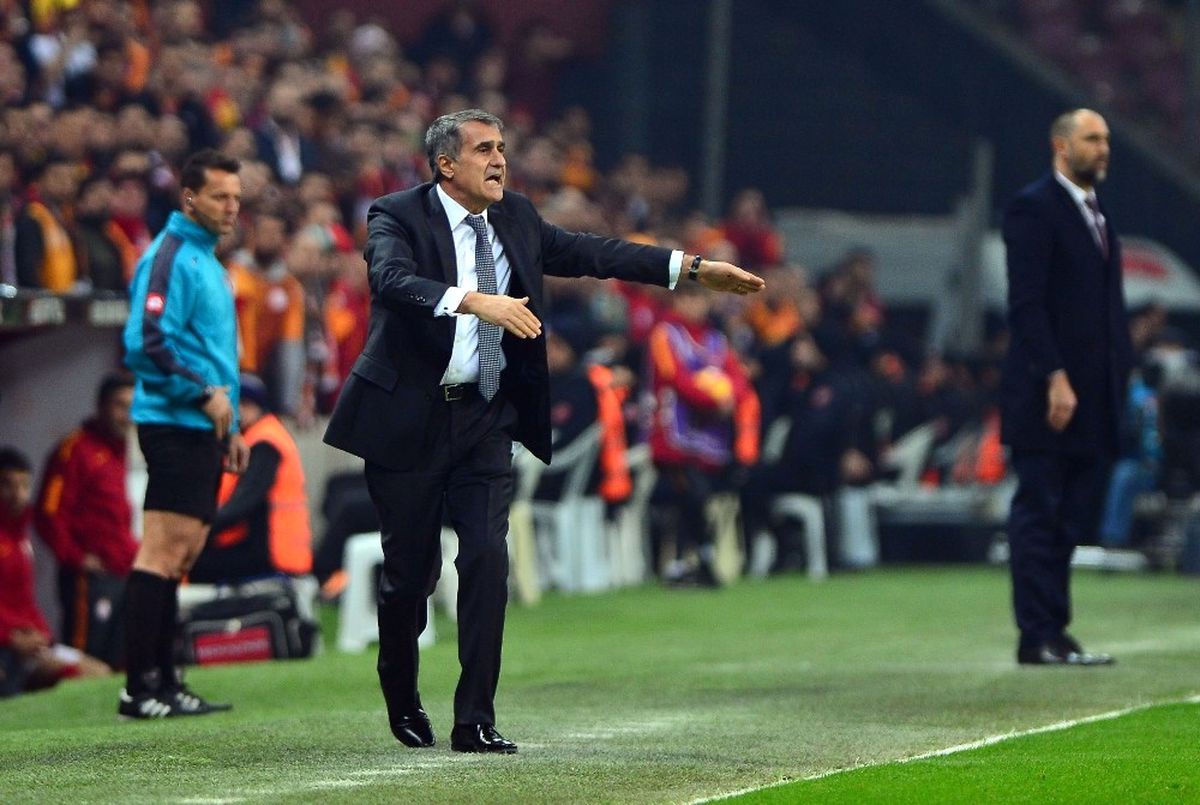 Şenol Güneş'in Galatasaray Karnesi