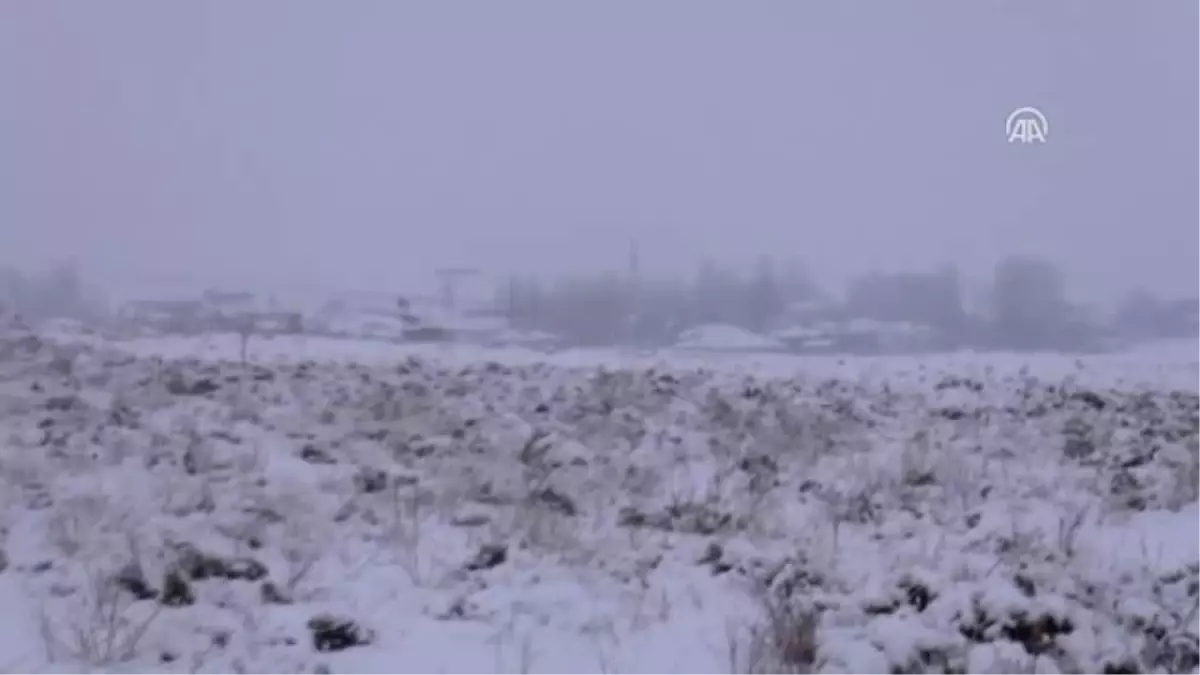 Sahipsiz Atlar Yürekleri Sızlatıyor