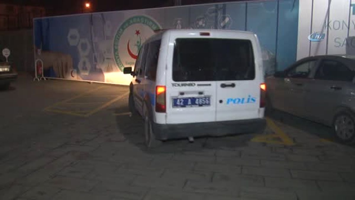 Kamyonete Aldıkları Kadını Gasp Ettiler