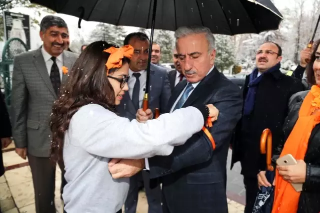 Vali Kamçı