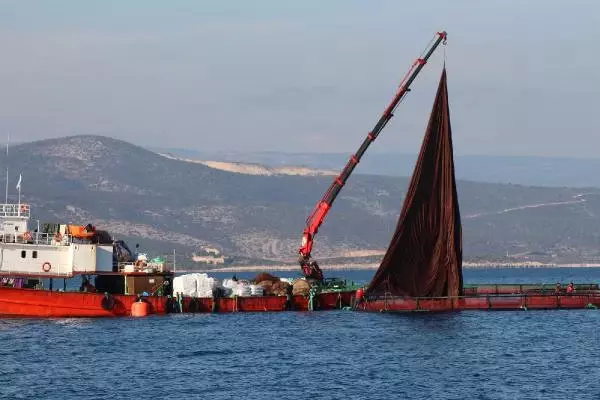 Merçed: Balık Çiftlikleri Kurulmaya Başlandı