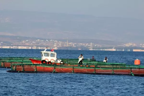 Merçed: Balık Çiftlikleri Kurulmaya Başlandı