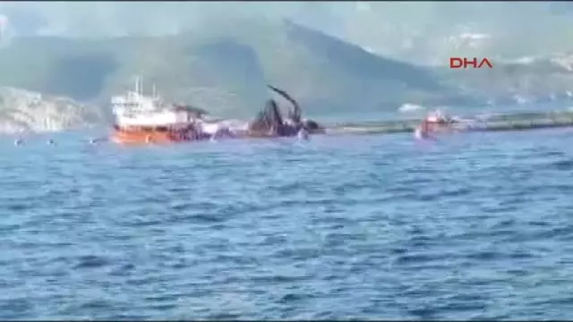 Mersin Merçed Balık Çiftlikleri Kurulmaya Başlandı