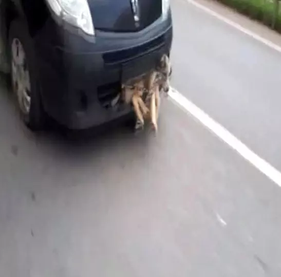 Pendik'te Akıl Almaz Olay