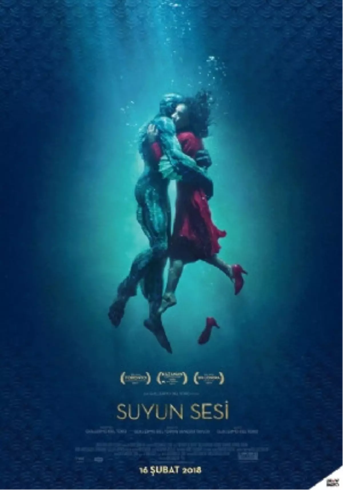 The Shape Of Water Filmi