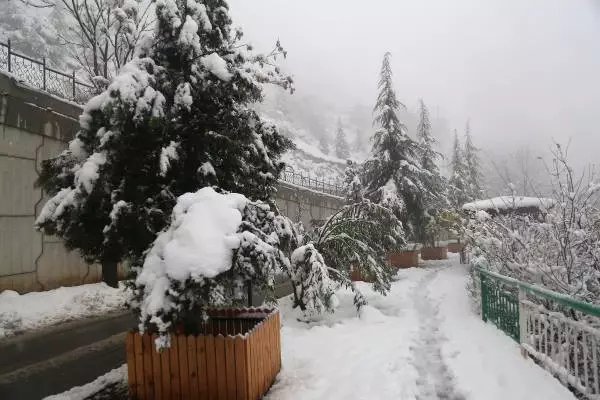 Artvin'de Kar Esareti