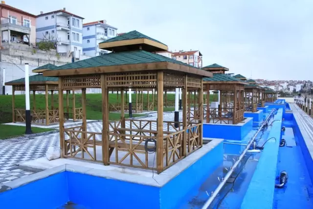 Başkan Çalışkan: