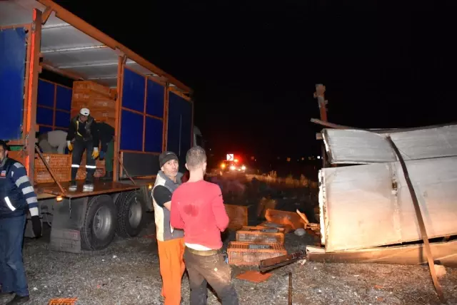 Kamyon Devrildi, Hayvanlar Telef Oldu