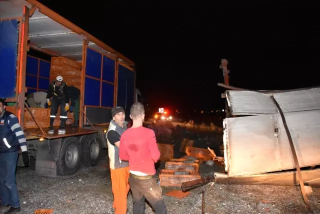 Tavuk Yüklü Kamyon Devrildi, Hayvanlar Telef Oldu