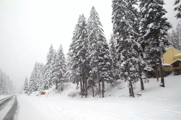 Rize'de 38 Köy Yolu Ulaşıma Kapandı