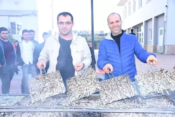 2 Ton Hamsi 1 Saatte Tüketildi