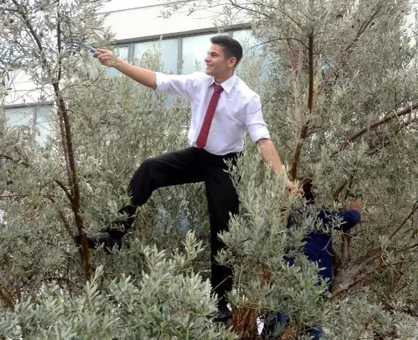 Ege'nin İki Yakası Zeytin Festivalinde Buluştu