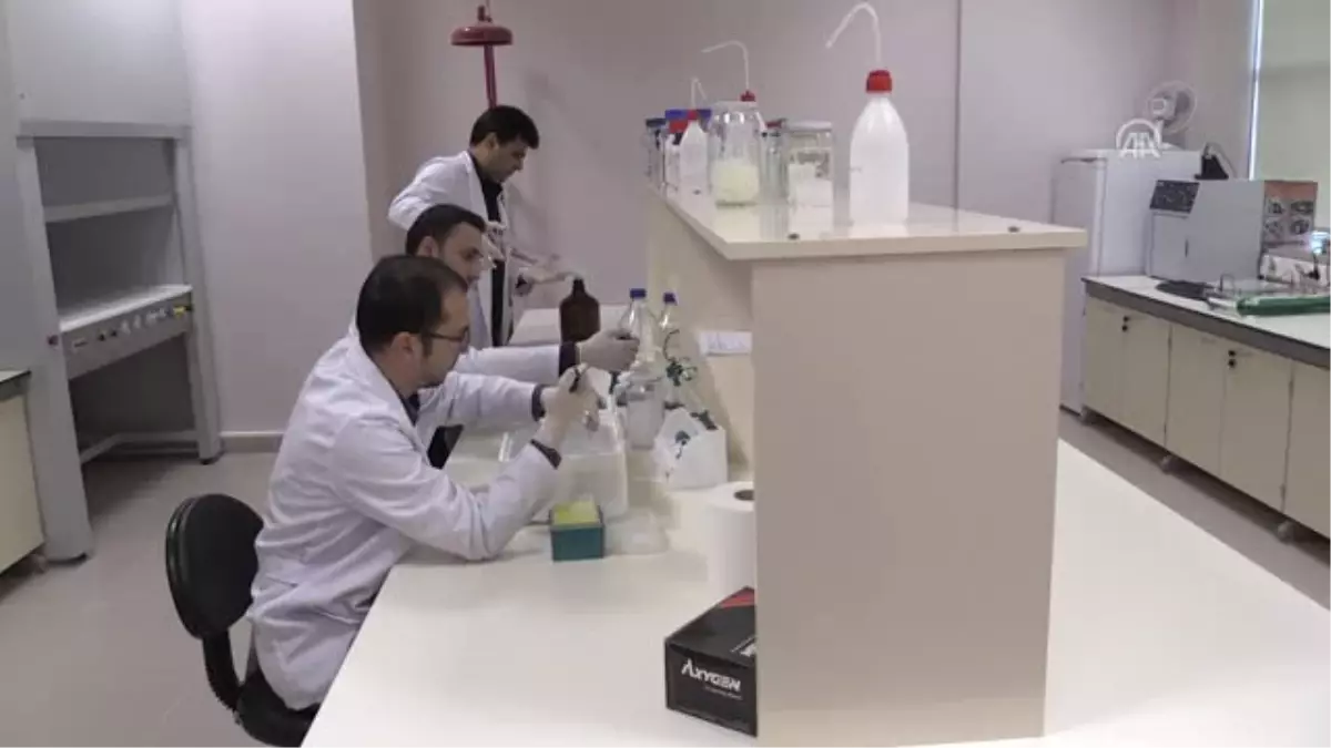 Odü'de Laboratuvar Sayısı 140 Oldu - Ordu
