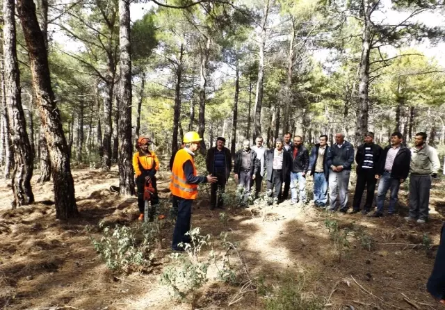 Antalya Da Agac Kesme Ve Boylama Operatorlugu Kursu Antalya