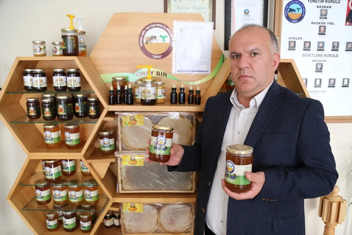 Bal Ormanları Arıcıların Yüzünü Güldürdü