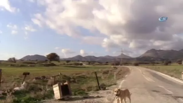Dünyanın İlk ve Tek Sakin Adasına Altın Madeni Tehdidi