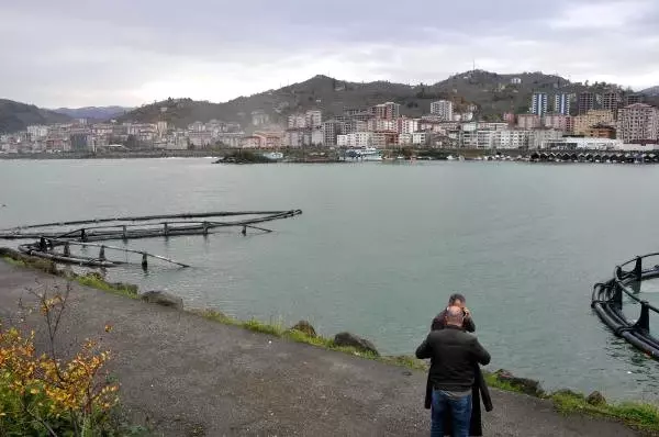 Karadeniz'in Üzerine Golf Sahası Karadeniz'in Üzerine Golf Sahası