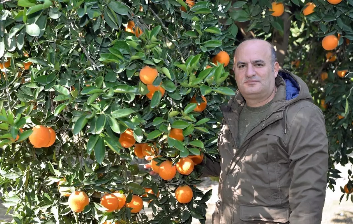 Gıda İthalatı Üretimi Vurdu