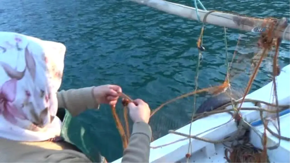 Hayat Müşterek...karadenizli Erkek Balıkçıların En Büyük Yardımcıları Eşleri