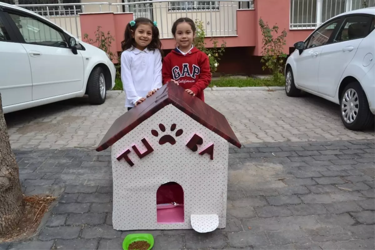 Minikler Hayvanları &quot;Ev&quot;Lendirdi Balıkesir
