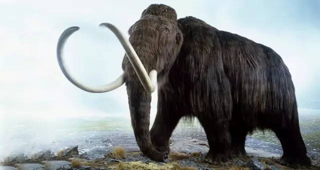 10 Binlerce Yıl Önceden Kalma Mamut İskeleti 2 Buçuk Trilyona Satıldı