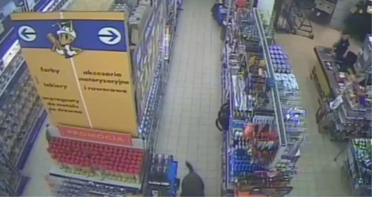 AVM'ye Yaban Domuzu Girdi!