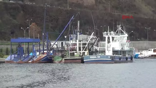 Samsun Karadeniz’deki Sıcak, Hamsiyi Vurdu