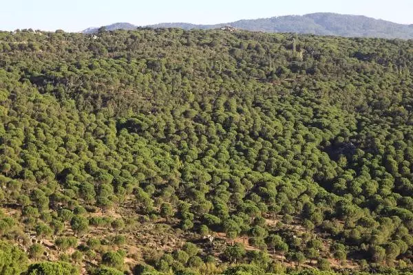 Kozak Yaylası Köylülerinden Granit Ocağının Kapasite Artırımı İsteğine Tepki
