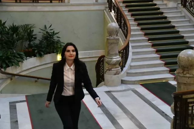 Kululu Sultan Kayhan, İsveç'te Yeniden Milletvekili Adayı