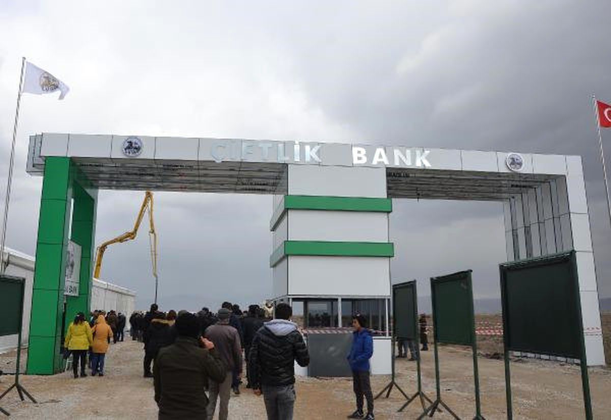 O Şirkete İkinci Şok...