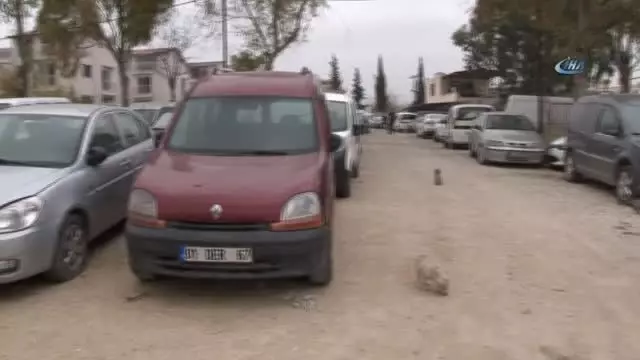 20 Milyon Lira Değerindeki Araçlar Çürümeye Terk Edildi 20 Milyon Lira Değerindeki Araçlar Çürümeye Terk Edildi