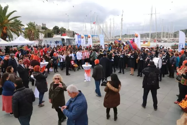Bodrum Mandalina Şenliği
