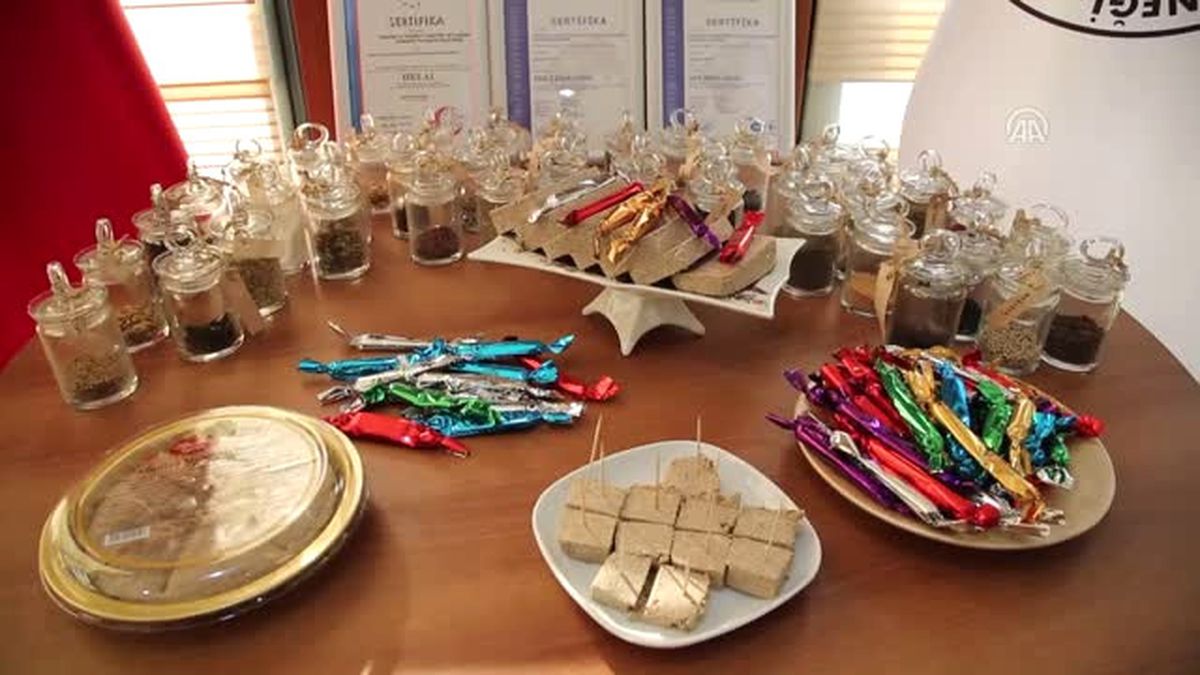 Mesir Macununun Helvası da Üretildi