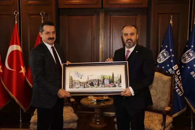 Çelik: