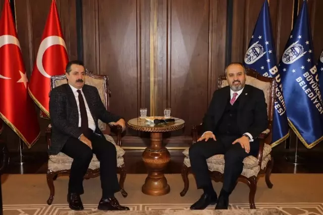 Çelik: