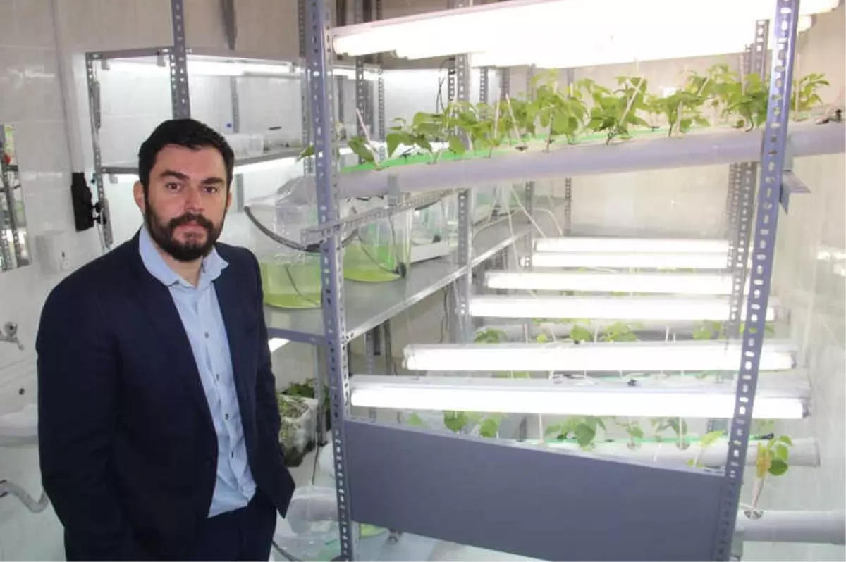 Doku Kültürüyle Firmaların Kayıpları Azalacak